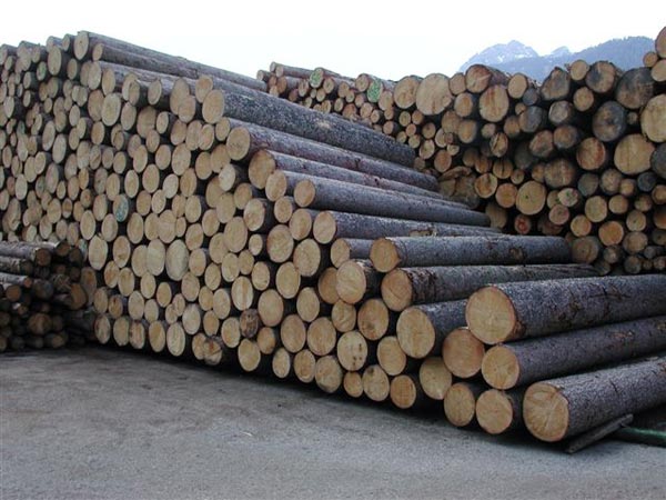 Sistema Green Economy Toscana, Salvadori alla presentazione del nuovo portale
