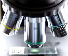 Servizi avanzati e qualificati, nuovo catalogo per imprese più competitive