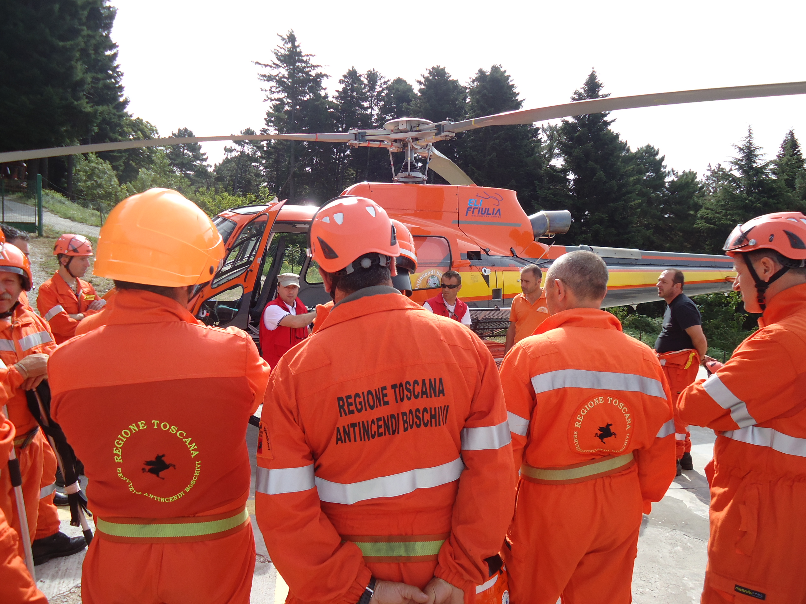 Incendi boschivi, approvato il Piano prevenzione per le pinete litoranee di Grosseto