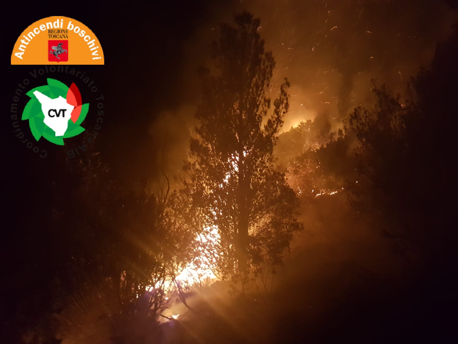 Incendi, ancora attive le fiamme a Madonna di Carpineta. Bruciati 212 ettari di bosco