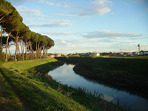 Bramerini, 'Il depuratore di Ponte Buggianese è sulla buona strada'