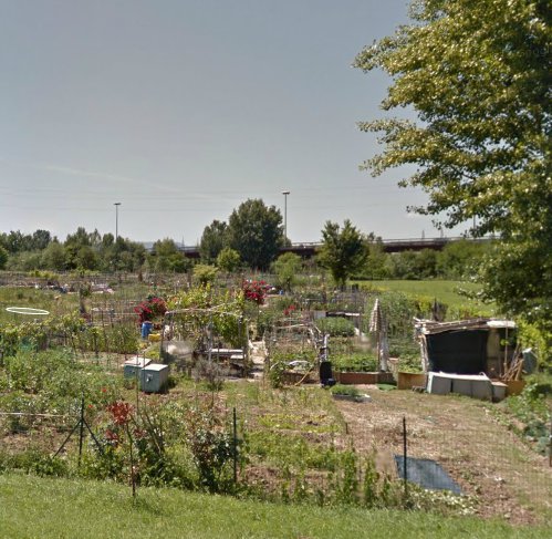 Agricoltura periurbana: Salvadori ad un incontro sugli 'Orti di Firenze'