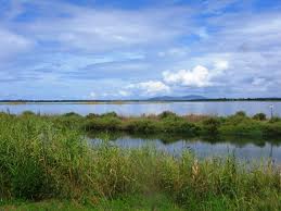 Laguna Orbetello, nessuna spesa a carico dei cittadini per lo smaltimento alghe