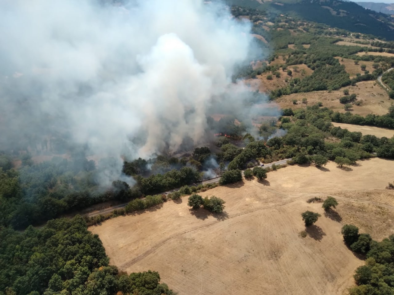 Grosseto, nuovo incendio a Scansano, vicino alla frazione Murci 