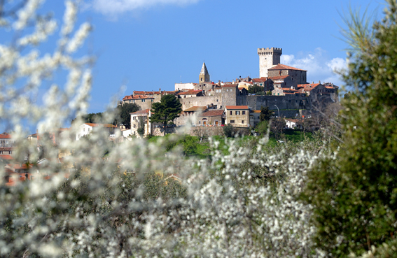 Immagine Banda ultralarga a Capalbio, Ciuoffo: "Stesura della fibra per una Toscana iperconnessa"