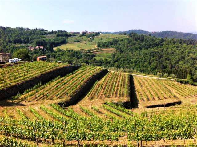 Immagine Sviluppo sostenibile, sono nove in Toscana i siti potenziali del patrimonio mondiale Fao