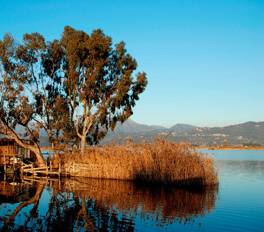 La Natura in Toscana, l'estate nelle riserve naturali e nei parchi: tutti gli eventi 2019