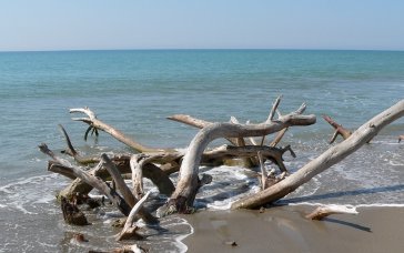 Erosione a Marina di Massa, Fratoni: