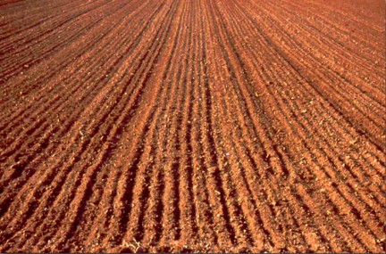 Agricoltura, la
