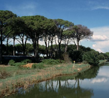 Una giornata alla spiaggia del Gombo al Parco di San Rossore