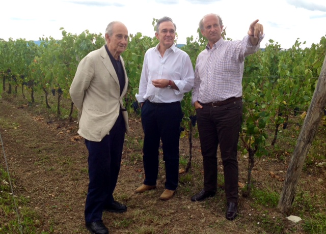 Vigne e paesaggio, Rossi dai Frescobaldi: