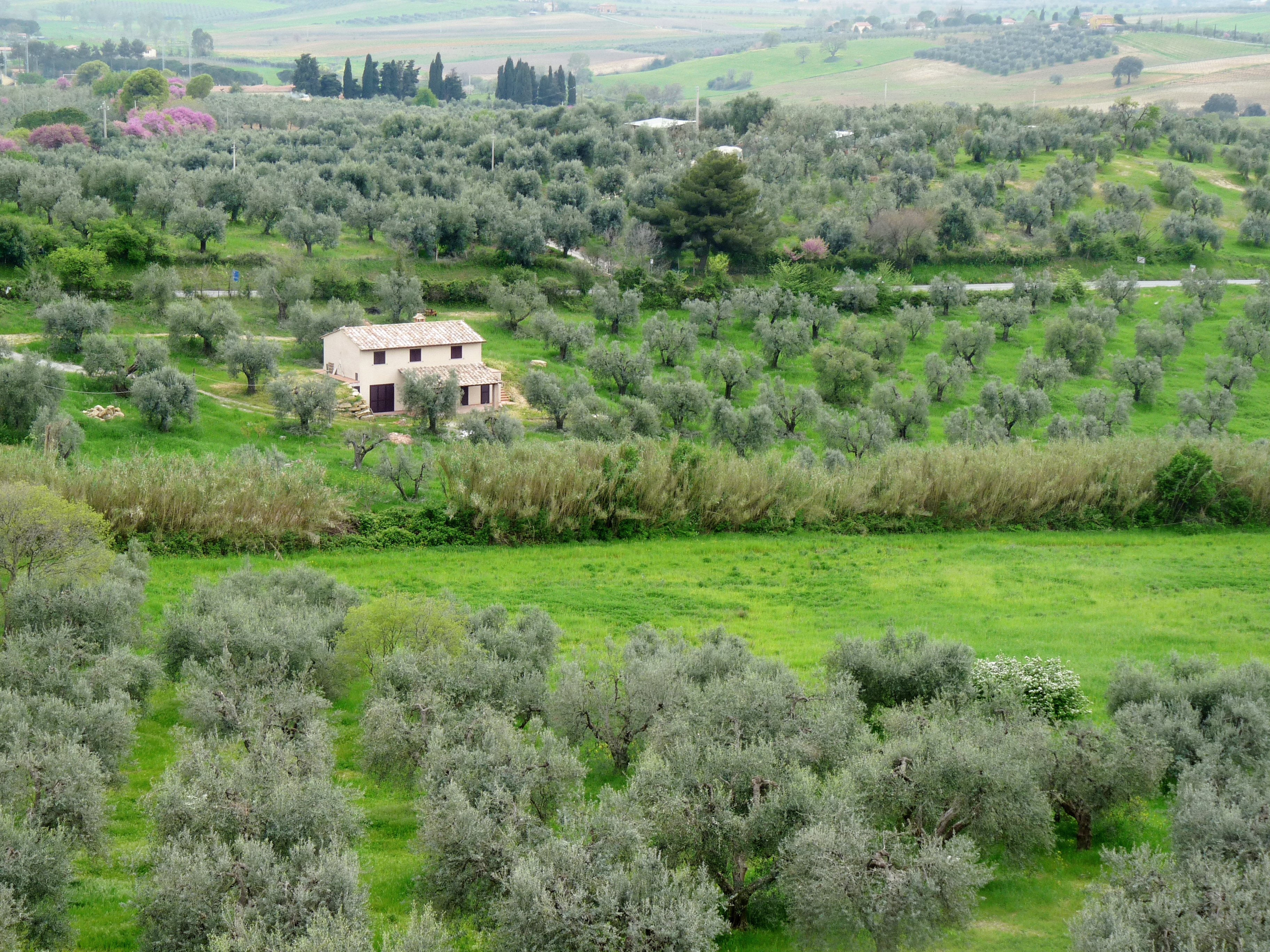 Agricoltura e paesaggio, Toscana laboratorio mondiale del buon vivere