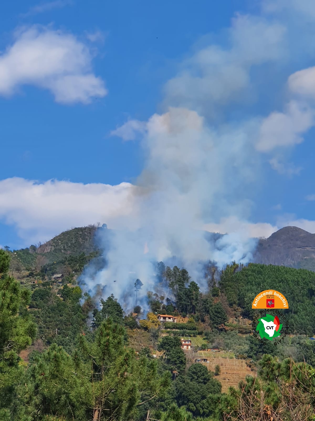 Incendio nei boschi sopra Montignoso. Il rogo si è sviluppato attorno all’ora di pranzo