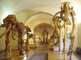 Campus di Natale per ragazzi nei musei di cinque province