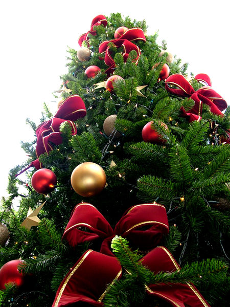 Natale 2013, gli auguri degli assessori in alcune strutture toscane