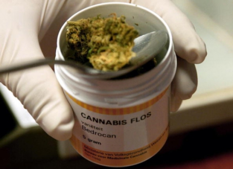 Immagine Cannabis e farmaci orfani, siglato accordo tra Regione e Farmaceutico Militare
