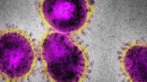 Coronavirus, intorno alle 10.30 nota di aggiornamento sui tamponi effettuati