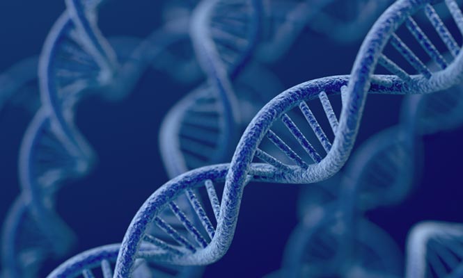 Terapia genica per una malattia respiratoria, a Pisa primo studio al mondo