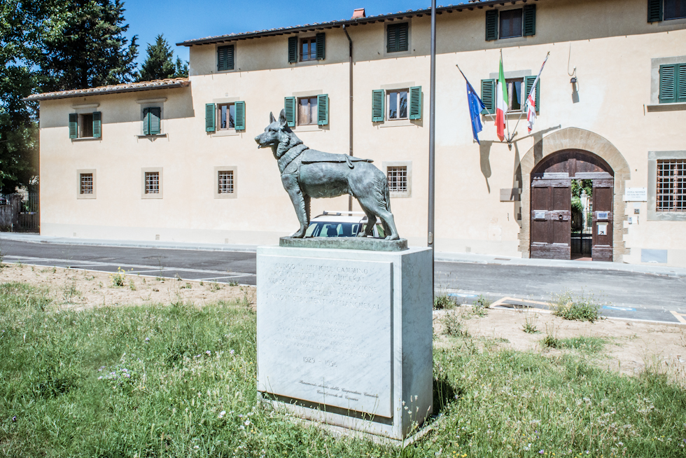 Scuola nazionale cani guida e Stamperia Braille: domani Open day a Scandicci
