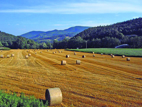 Agroalimentare, è nato il Distretto rurale del Mugello
