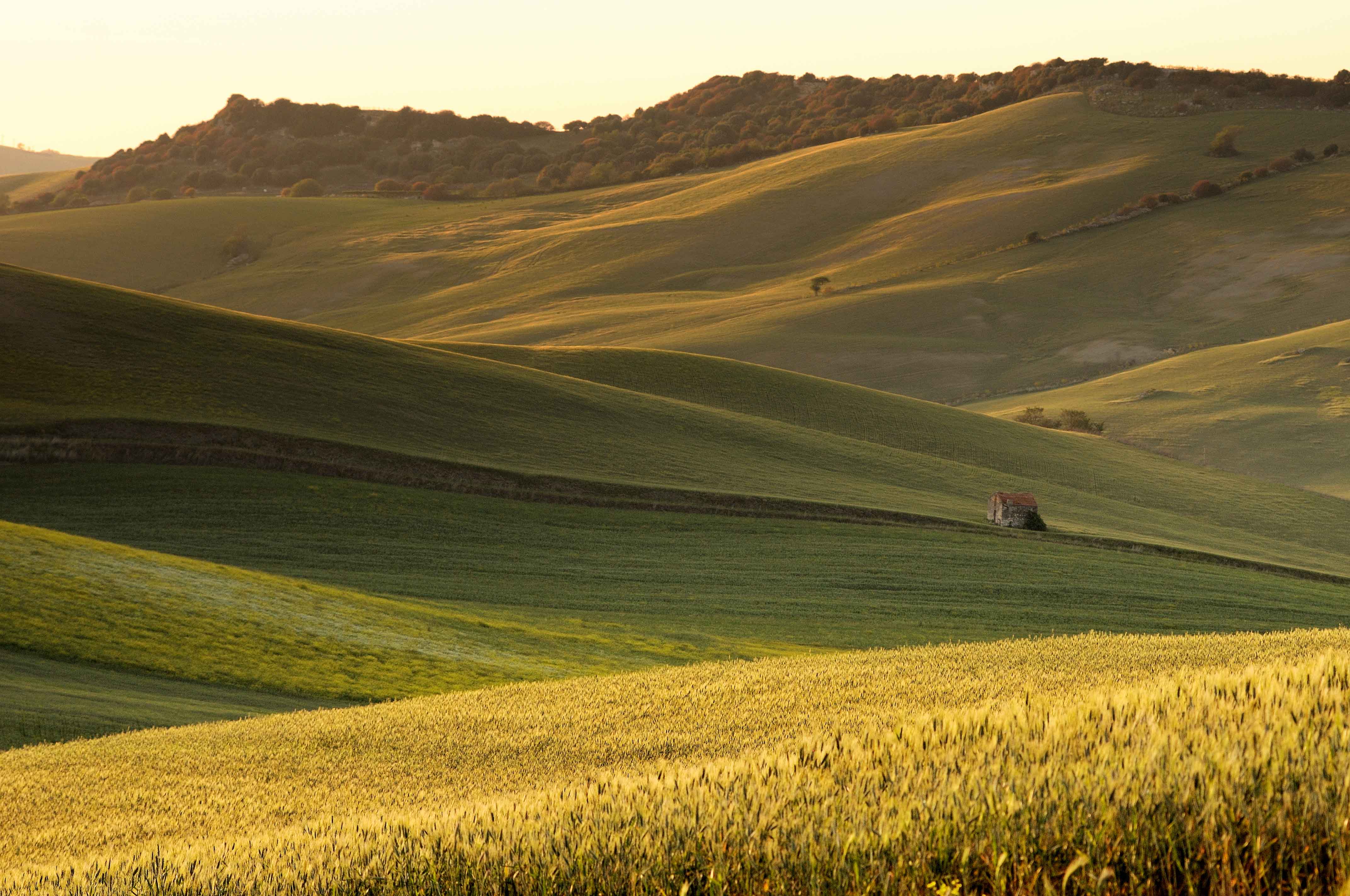 Agricoltura, turismo, cultura: Grosseto inaugura il Polo Tecnico Professionale. Conferenza stampa.