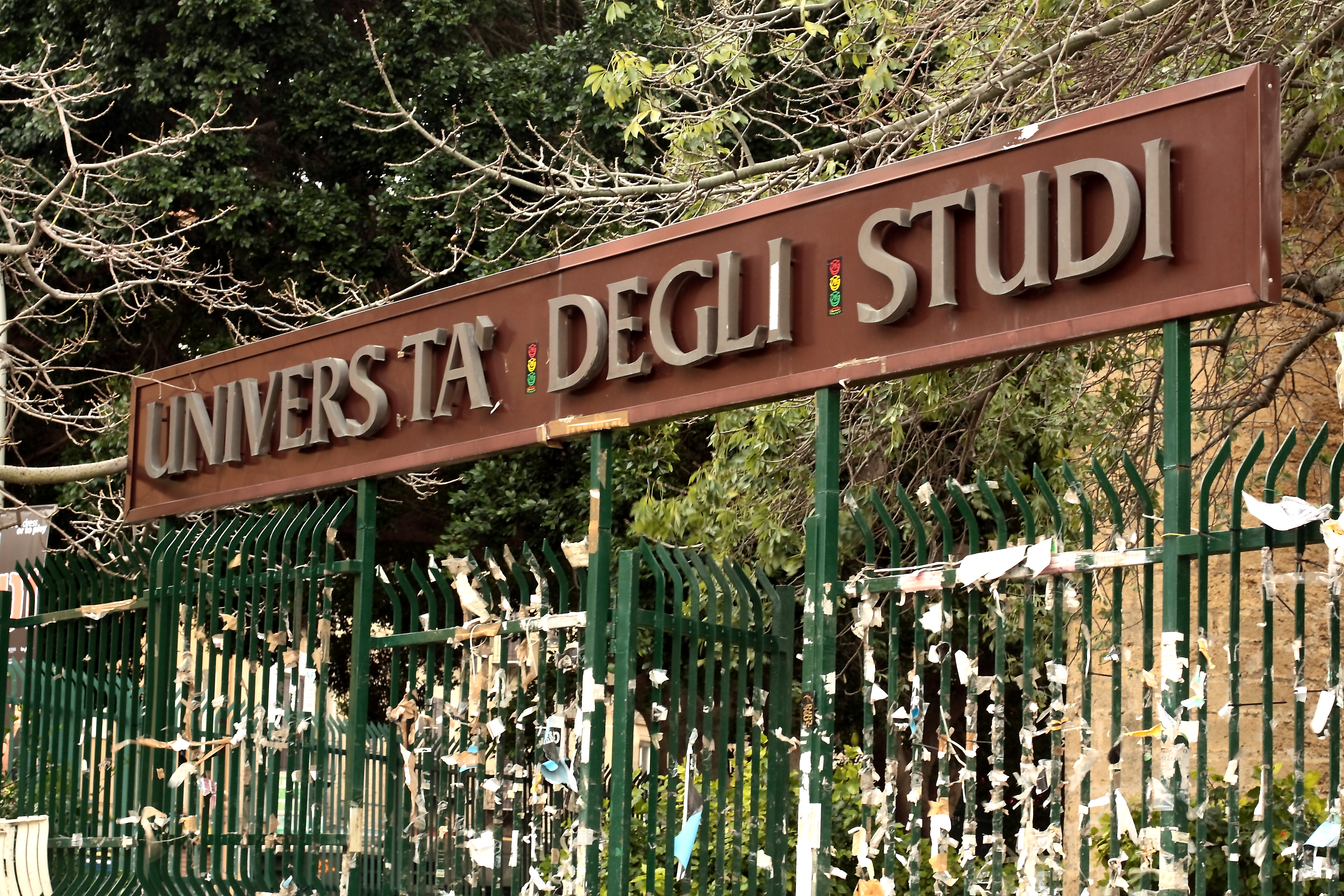 Immagine Diritto allo studio, in arrivo la Carta unica dello studente