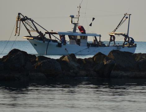 Pesca, raggiunto al 100 per cento il target di spesa 2022 dei Fondi europei