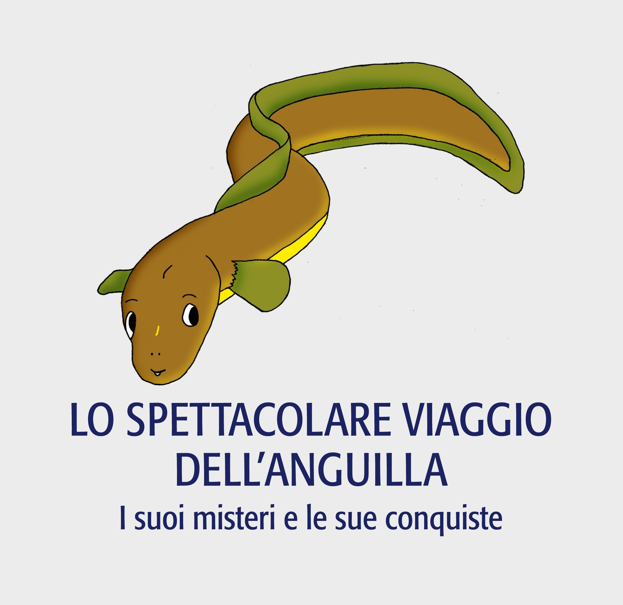 L'anguilla e i suoi misteri in un opuscolo di Arci Pesca e Regione