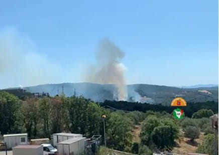 Fiamme a un chilometro dalla centrale elettrica di Monterotondo marittimo nel grossetano
