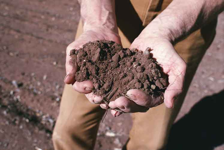Agricoltura sociale: la Giunta approva il regolamento