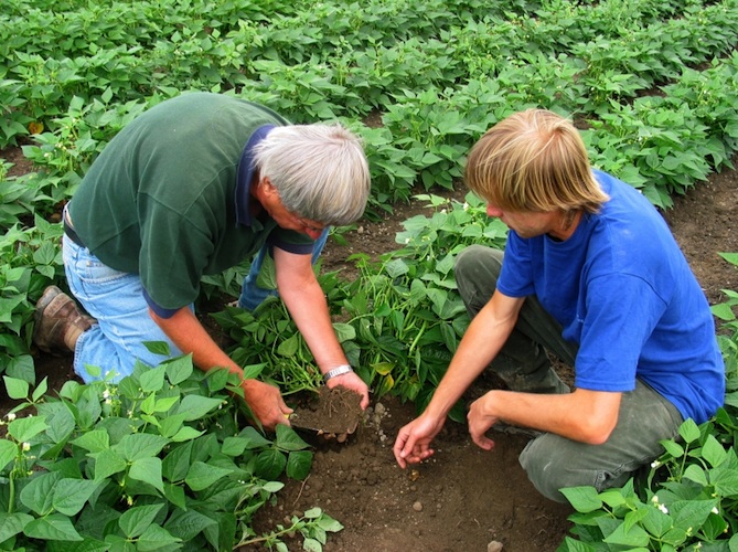 La Toscana chiede alla Ue di destinare nuove risorse all’agricoltura biologica