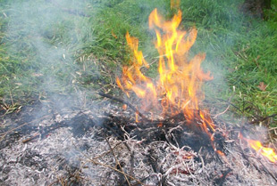 Agricoltura e foreste, cambia la legge: gli scarti si potranno bruciare