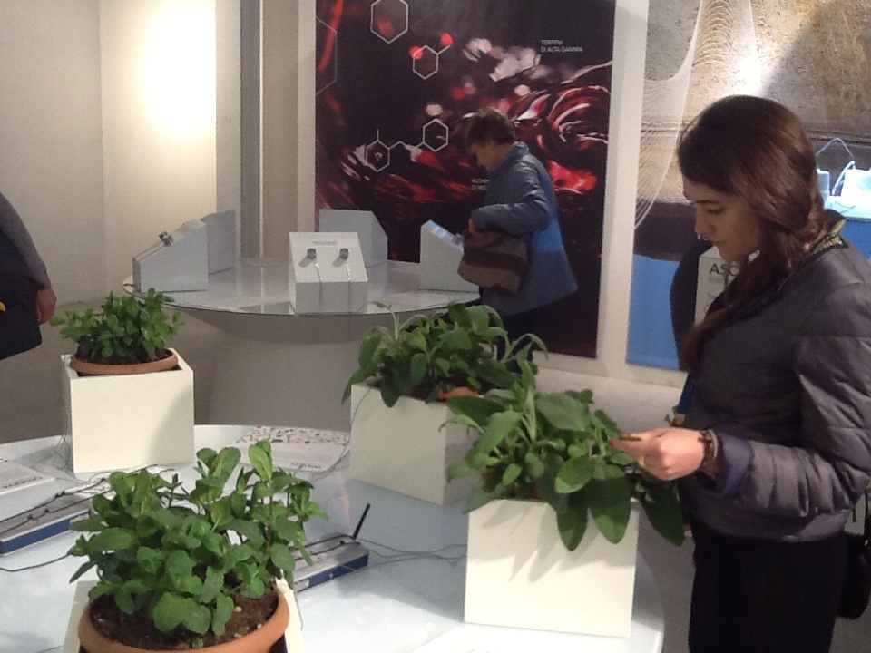 Expo, lo stand della Toscana è il più visitato con oltre 20 mila visitatori