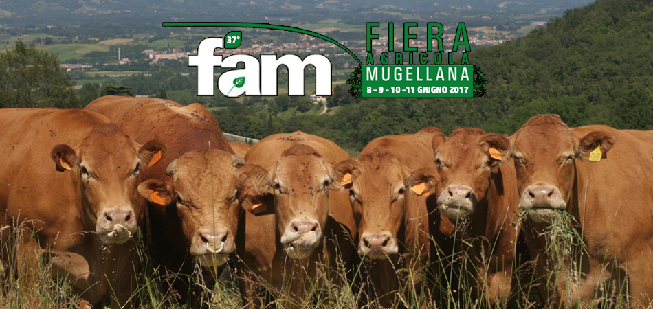 La Fiera agricola mugellana, 8-11 giugno, tra novità e tradizione