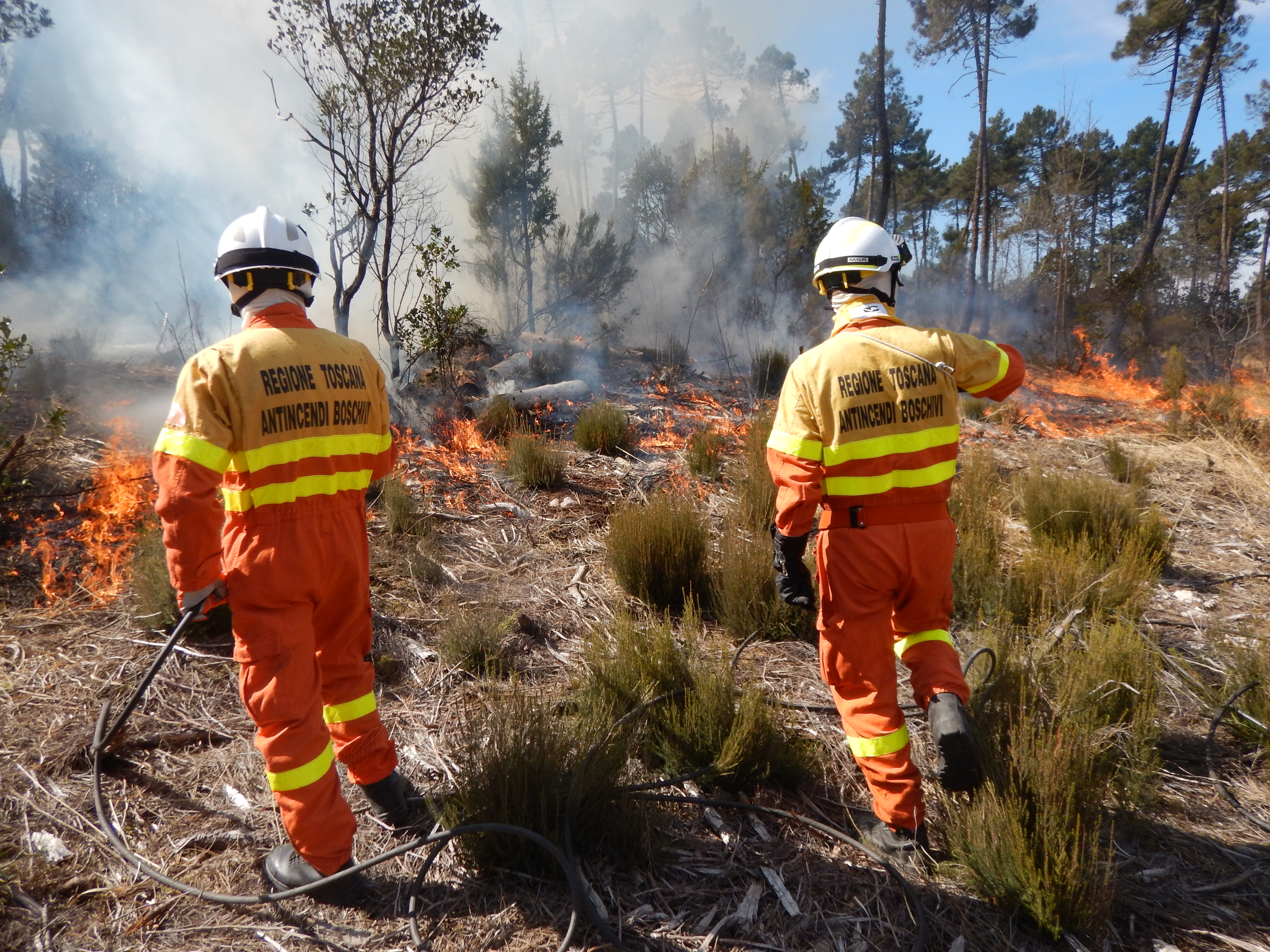 Incendio Massa Marittima (GR), 5 ettari di bosco distrutti