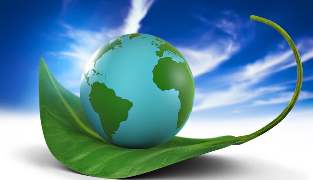 Bioeconomia, nuove opportunità per i giovani dall'agricoltura del futuro