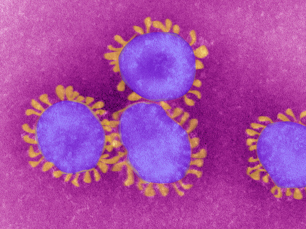 Coronavirus, nuova riunione della task force regionale