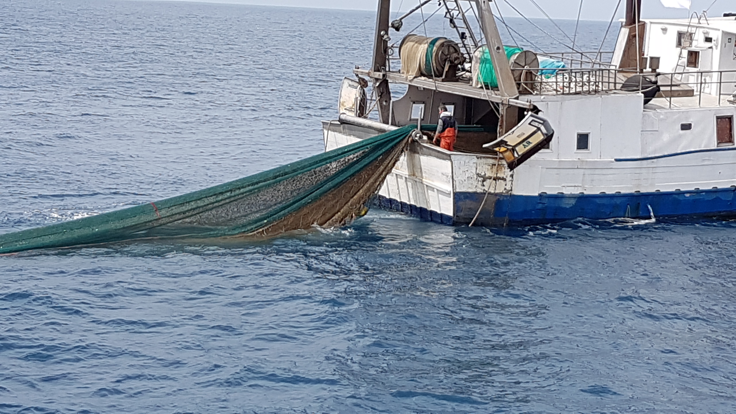 Contributi pesca, velocizzata la procedura per le graduatorie dei gruppi locali ‘Flag’