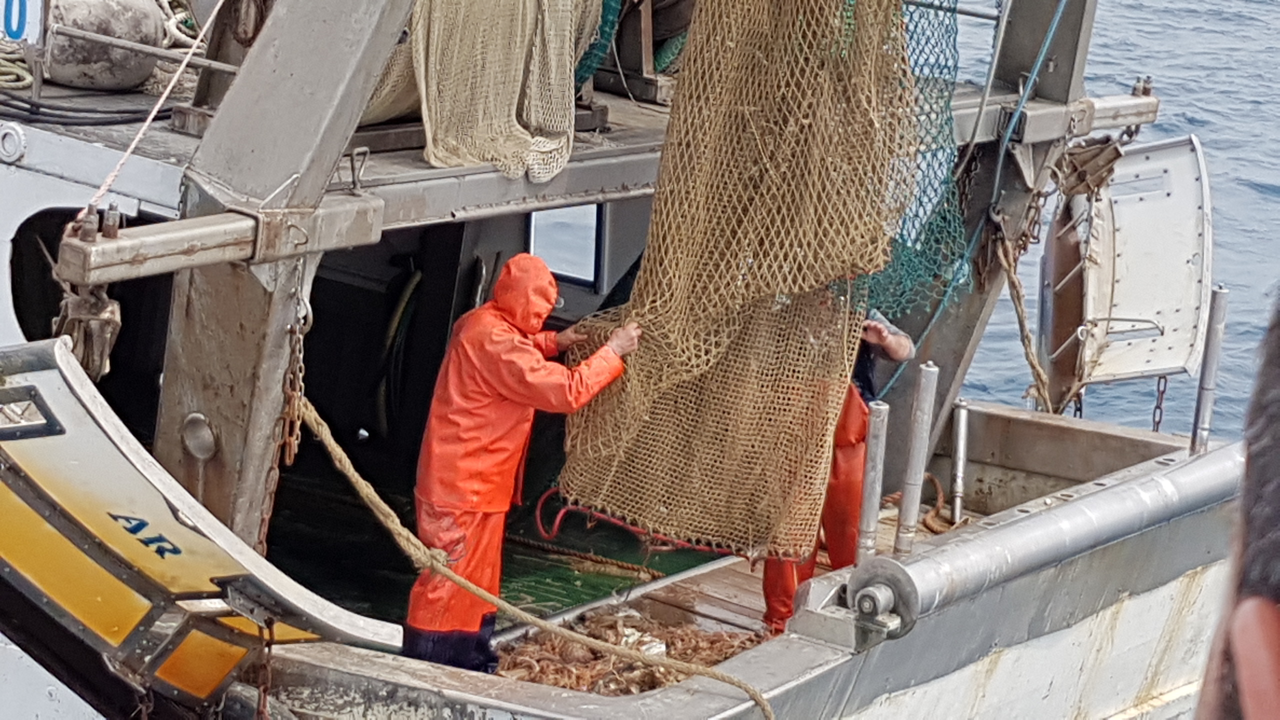 Plastiche in mare, Bugli al ministero: