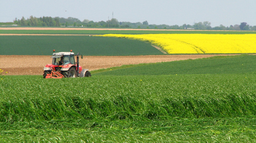 Bando, sovvenzione alle cooperative agricole e ai consorzi forestali