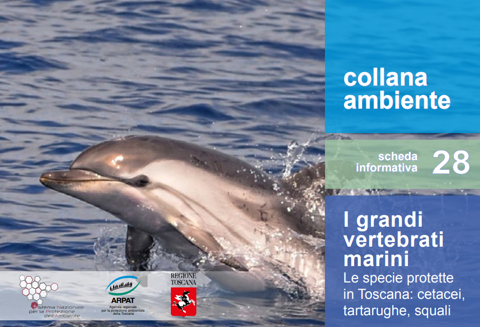 I grandi vertebrati marini, pubblicazione a cura di ARPAT