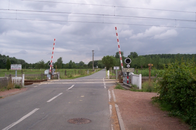 Linea Pisa-Lucca, treni regolari dopo riparazione passaggio a livello abbattuto da automobilista