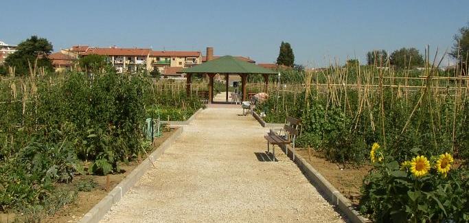 Un patto europeo per l’orticoltura, la Toscana tra le prime firmatarie