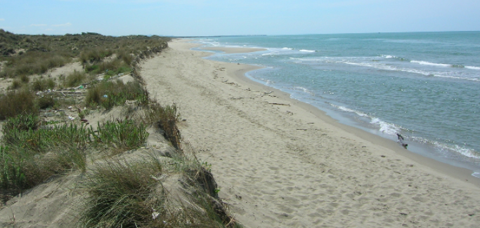 Erosione costiera, Monni: 