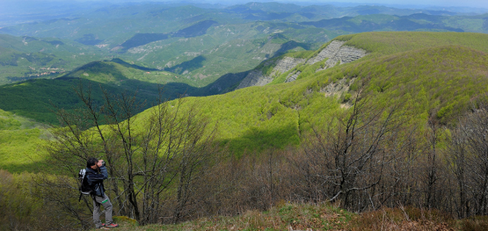 Agricoltura, stanziati 7,2 milioni per la gestione del patrimonio forestale