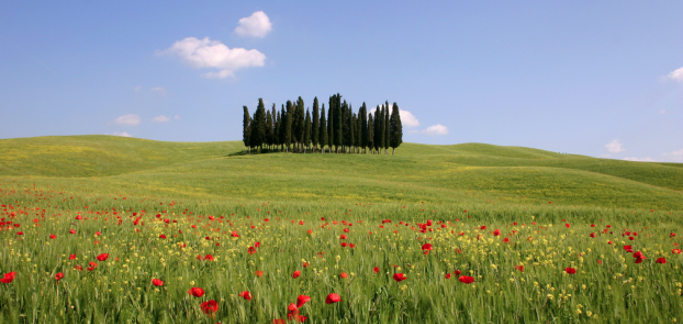 Toscana raccoglie offerte delle imprese turistiche per proporle in Italia e Europa 