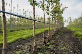 Risorsa idrica, bando da 3 milioni per realizzare o migliorare impianti irrigui consortili